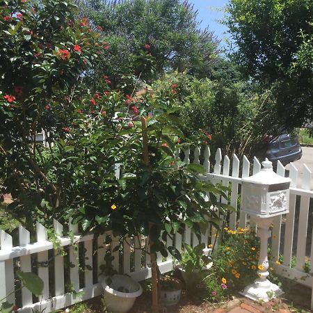 Apartament 1118 Postoffice Street Galveston Zewnętrze zdjęcie