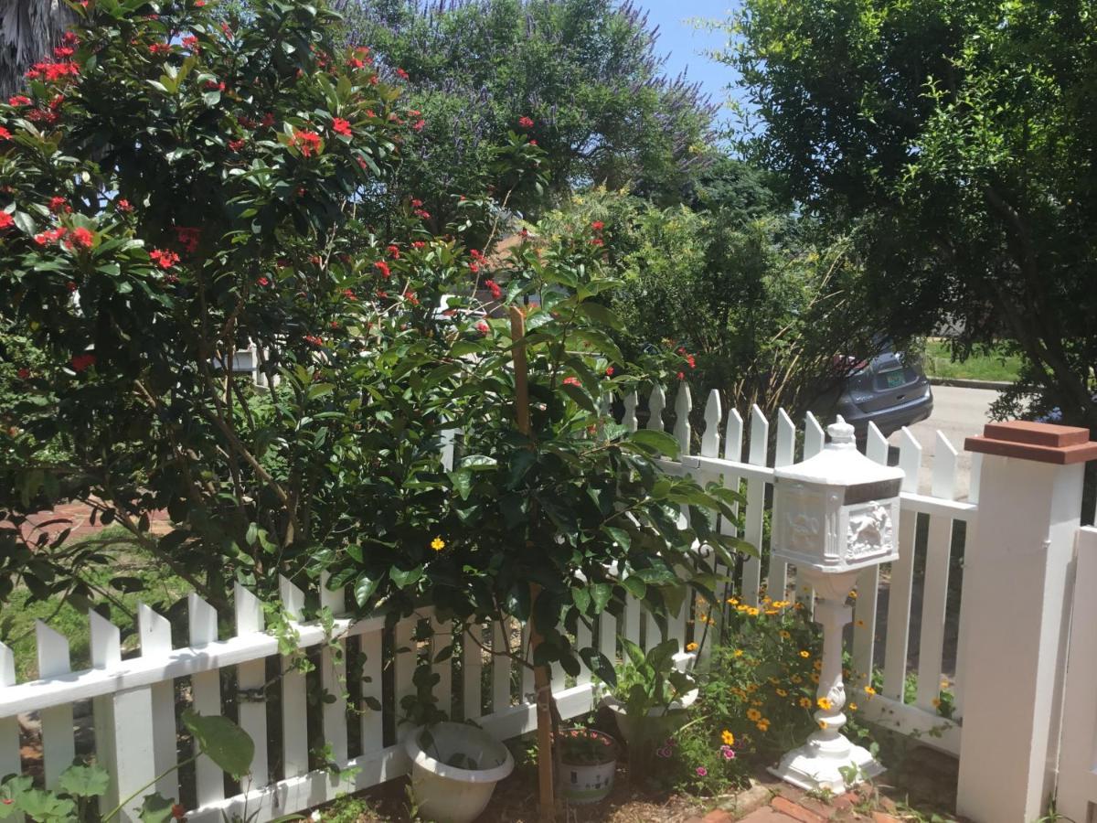 Apartament 1118 Postoffice Street Galveston Zewnętrze zdjęcie